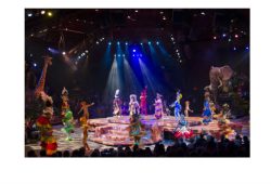 Festival of the Lion King no Animal Kingdom!