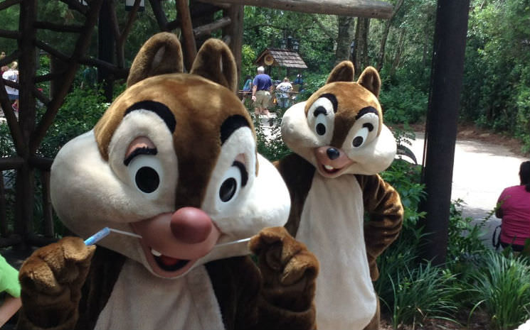 Chip 'n' Dale's Campfire - a fogueira do Tico e Teco