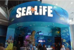 Sea Life Orlando Aquarium já começou a encher seus tanques!!