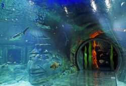 Orlando Sea Life Aquarium – fomos conhecer por completo!!