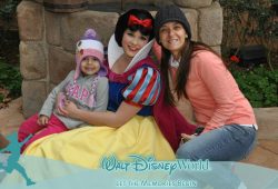 Aonde encontrar as Princesas no Epcot