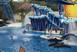 Nossa visita ao Sea World Orlando, todas as novidades!!!