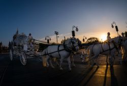 Conto de fadas: Já pensou casar no Magic Kingdom?