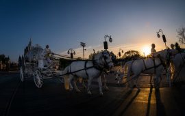 Conto de fadas: Já pensou casar no Magic Kingdom?