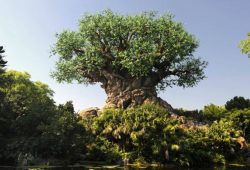 Disney’s Animal Kingdom comemora seu 20º aniversário em 2018