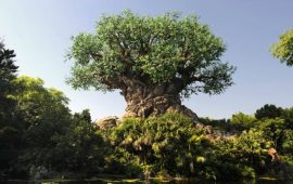 Disney’s Animal Kingdom comemora seu 20º aniversário em 2018