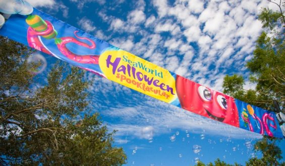 Tudo sobre o Halloween Spooktacular que acontece no SeaWorld Orlando