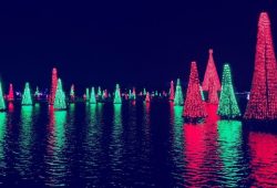 Christmas Celebration, a festa de Natal do SeaWorld