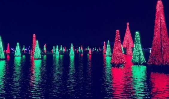 Christmas Celebration, a festa de Natal do SeaWorld