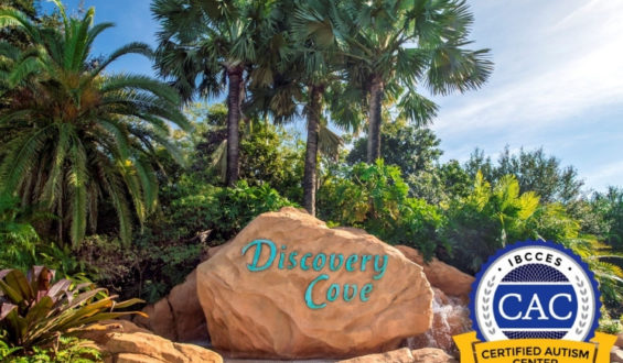 Discovery Cove é Certificado como Centro de Autismo