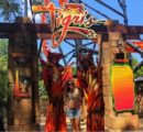 Busch Gardens inaugura a montanha-russa de lançamento mais alta da Flórida
