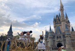 Novas regras, o que você precisa saber antes de ir para a Disney