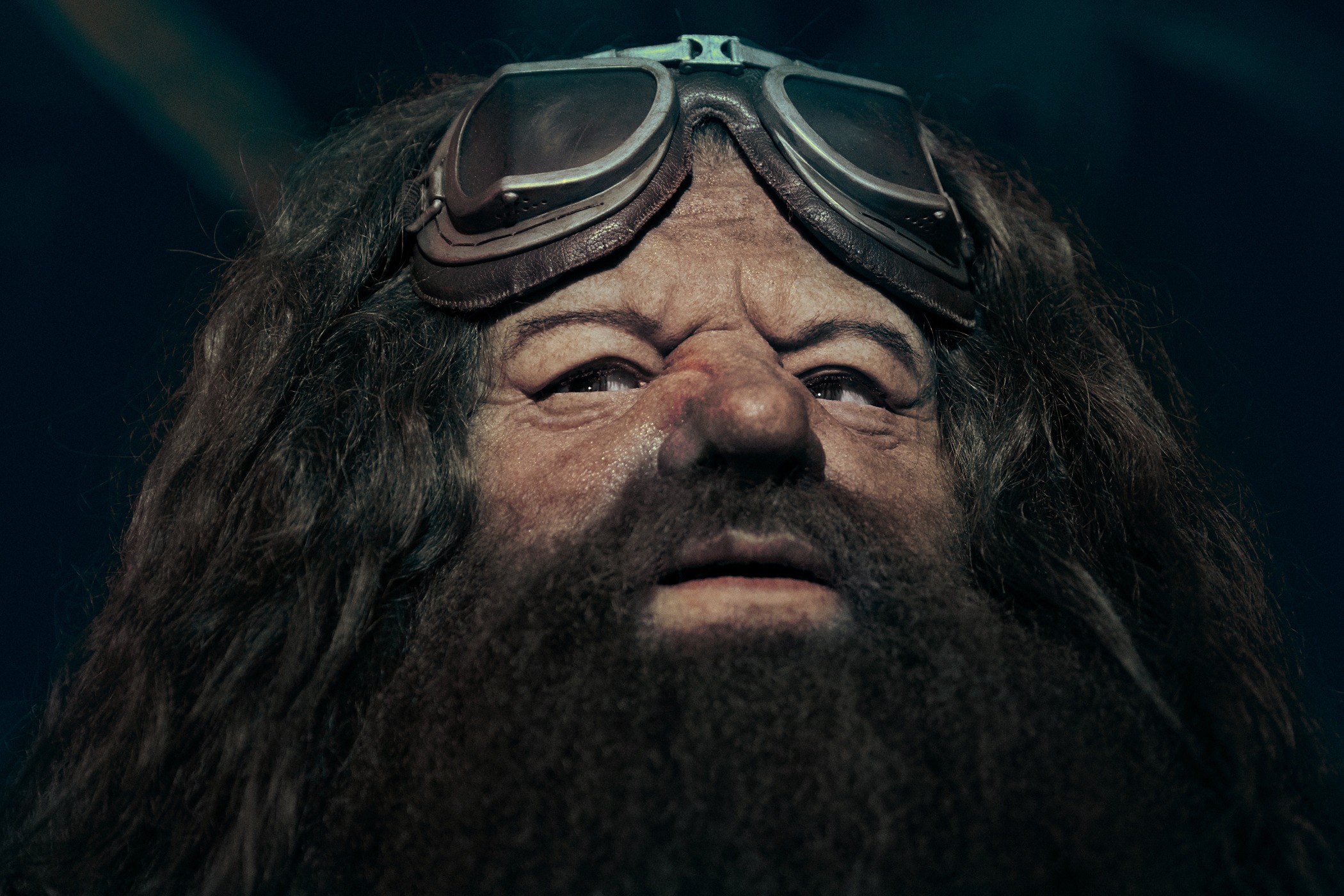 03_Hagrid’s Animated Figure Reveal