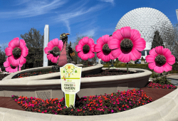 Festival das Flores 2025 no Epcot: Tudo o que Você Precisa Saber