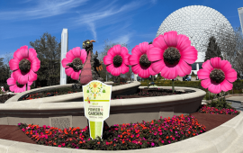 Festival das Flores 2025 no Epcot: Tudo o que Você Precisa Saber