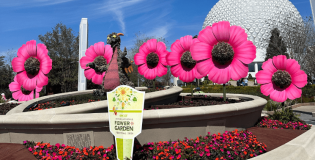 Festival das Flores 2025 no Epcot: Tudo o que Você Precisa Saber