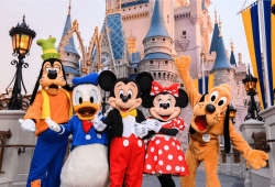 As perguntas que eu mais recebo sobre a Disney (e as respostas mais sinceras!)